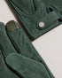 {{ product.type }} - Ted Baker London - Kosovo - LEVIII